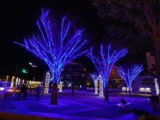 Hitachi Starlight Illuminationの写真４