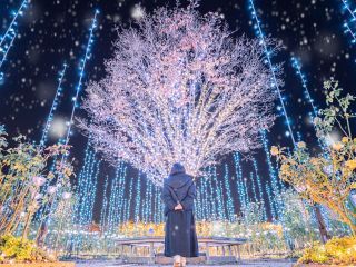 あしかがフラワーパーク「光の花の庭」写真２