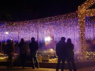 国営武蔵丘陵森林公園スターライトイルミネーションの写真３