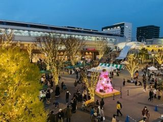 流山おおたかの森イルミネーションの写真３