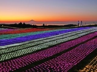 マザー牧場 イルミネーション 光の花園写真１