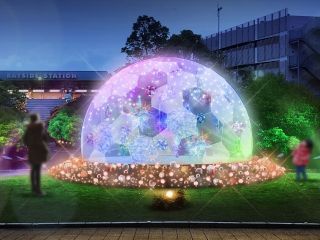 ホテルオークラ東京ベイ ウィンターイルミネーション「Precious Time Illumination」写真２