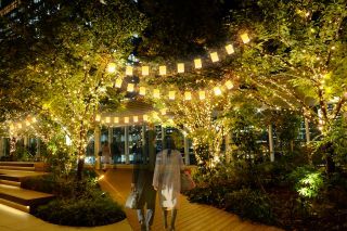 MIDTOWN YAESU CHRISTMAS写真2