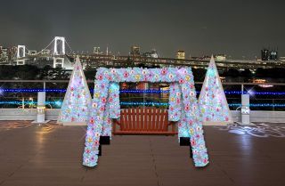 お台場イルミネーション“YAKEI”の写真４