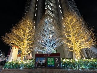 東京イースト21「ウィンターイルミネーション」写真１