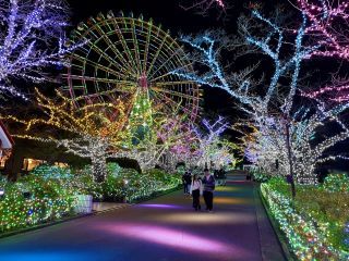 よみうりランド ジュエルミネーション LIGHT is LOVEの写真４