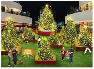 横浜ベイクォーター クリスマスイルミネーション写真１