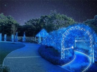 アメリカ山公園 ROOFTOP ILLUMINATIONの写真３