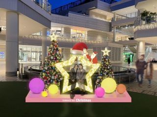 TERRACE the CHRISTMAS写真２