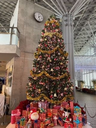 国営越後丘陵公園 Xmas キャンドルナイト写真２