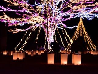 国営越後丘陵公園 Xmas キャンドルナイトの写真３