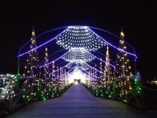 山中湖 花の都公園「イルミネーションファンタジウム」写真１