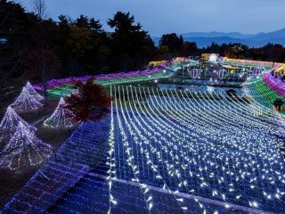 Winter Illumination （国営アルプスあづみの公園 堀金・穂高地区）写真１