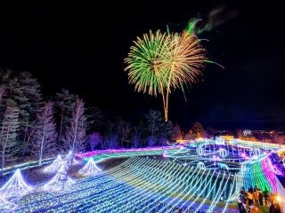 Winter Illumination （国営アルプスあづみの公園 堀金・穂高地区）写真２