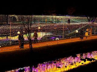 Winter Illumination （国営アルプスあづみの公園 堀金・穂高地区）の写真３