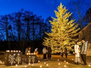 軽井沢星野エリアのクリスマスの写真３