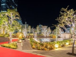 大名古屋ビルヂング クリスマスイルミネーション写真２