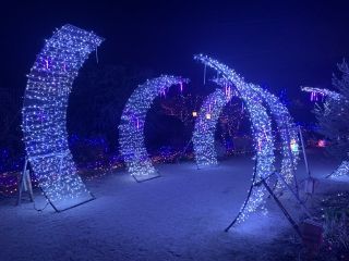 びわ湖大津館イルミネーション「光が織りなすナイトミュージアム」写真１