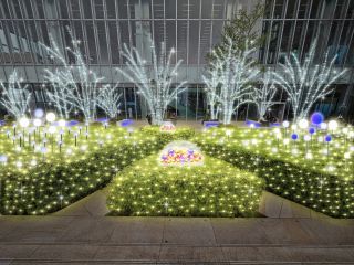あべのハルカス 天空のイルミネーション写真1