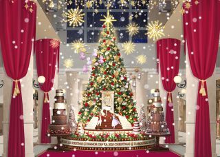 Diamor Christmas写真１