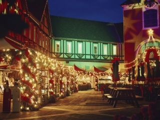 神戸布引ハーブ園 ロープウェイ「神戸クリスマスマーケット」写真１