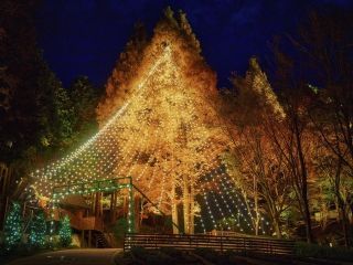 神戸布引ハーブ園 ロープウェイ「神戸クリスマスマーケット」写真２