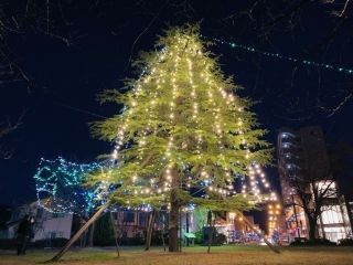 浜田駅周辺イルミネーション写真１