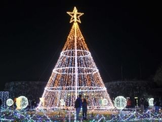 国営讃岐まんのう公園 ウィンターファンタジー写真２