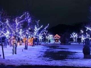 三間の中山池自然公園イルミネーション写真１