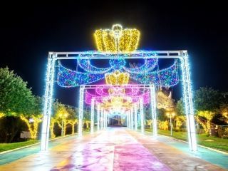 グリーンランド「Wonder illumination」の写真３