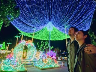 東南植物楽園「沖縄南国イルミネーション」の写真４