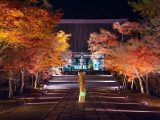 「NAKED GARDEN ONE KYOTO」秋のガーデン写真１