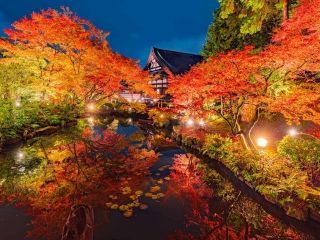 「NAKED GARDEN ONE KYOTO」秋のガーデン写真２