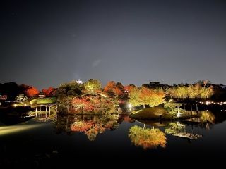 秋の幻想庭園写真１