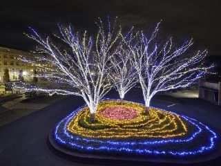 徳島文理大学イルミネーション 文理ナリエ（香川キャンパス）写真１