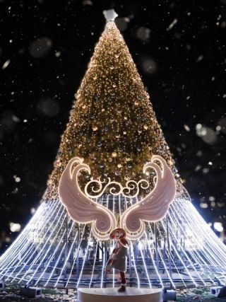 さっぽろホワイトイルミネーション（第45回）