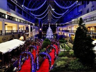 ジャンボクリスマスツリーの写真３