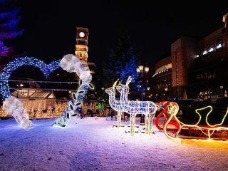 白い恋人パーク スイートイルミネーションの写真４