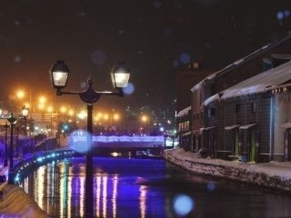 ロマネスクイルミネーション写真1