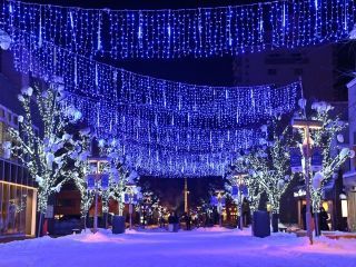 あさひかわ街あかりイルミネーション写真２