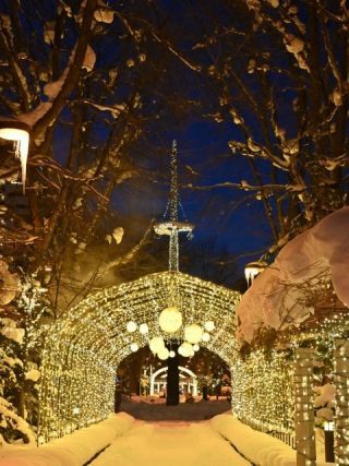 あさひかわ街あかりイルミネーションの写真３