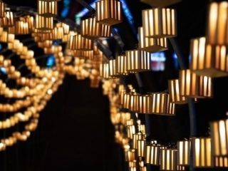 広尾サンタランドイルミネーションの写真４