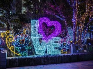 ビッグツリーページェント・フェスタ in KORIYAMA写真１