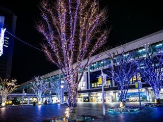 ビッグツリーページェント・フェスタ in KORIYAMA写真２