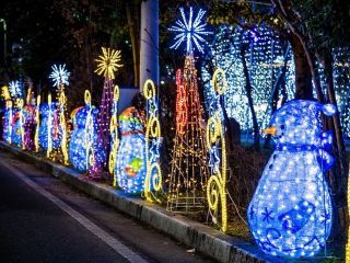 ビッグツリーページェント・フェスタ in KORIYAMAの写真４