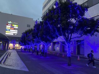 Hitachi Starlight Illuminationの写真４