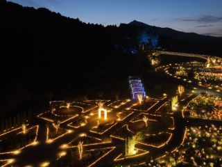 いばらきフラワーパーク 「Moonlight Rose Garden」の写真４
