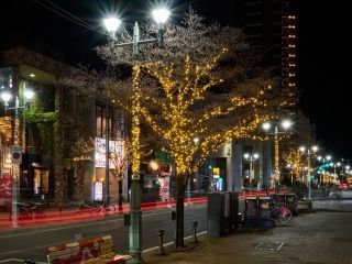 高崎光のページェントの写真３