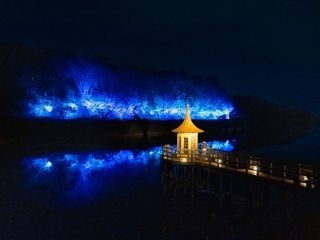 ムーミン谷のクリスマスの写真4