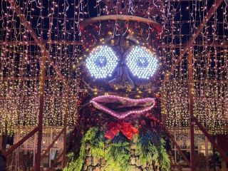 国営武蔵丘陵森林公園スターライトイルミネーションの写真３